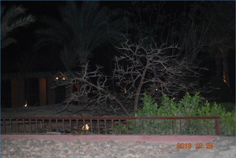 sharm 12 091